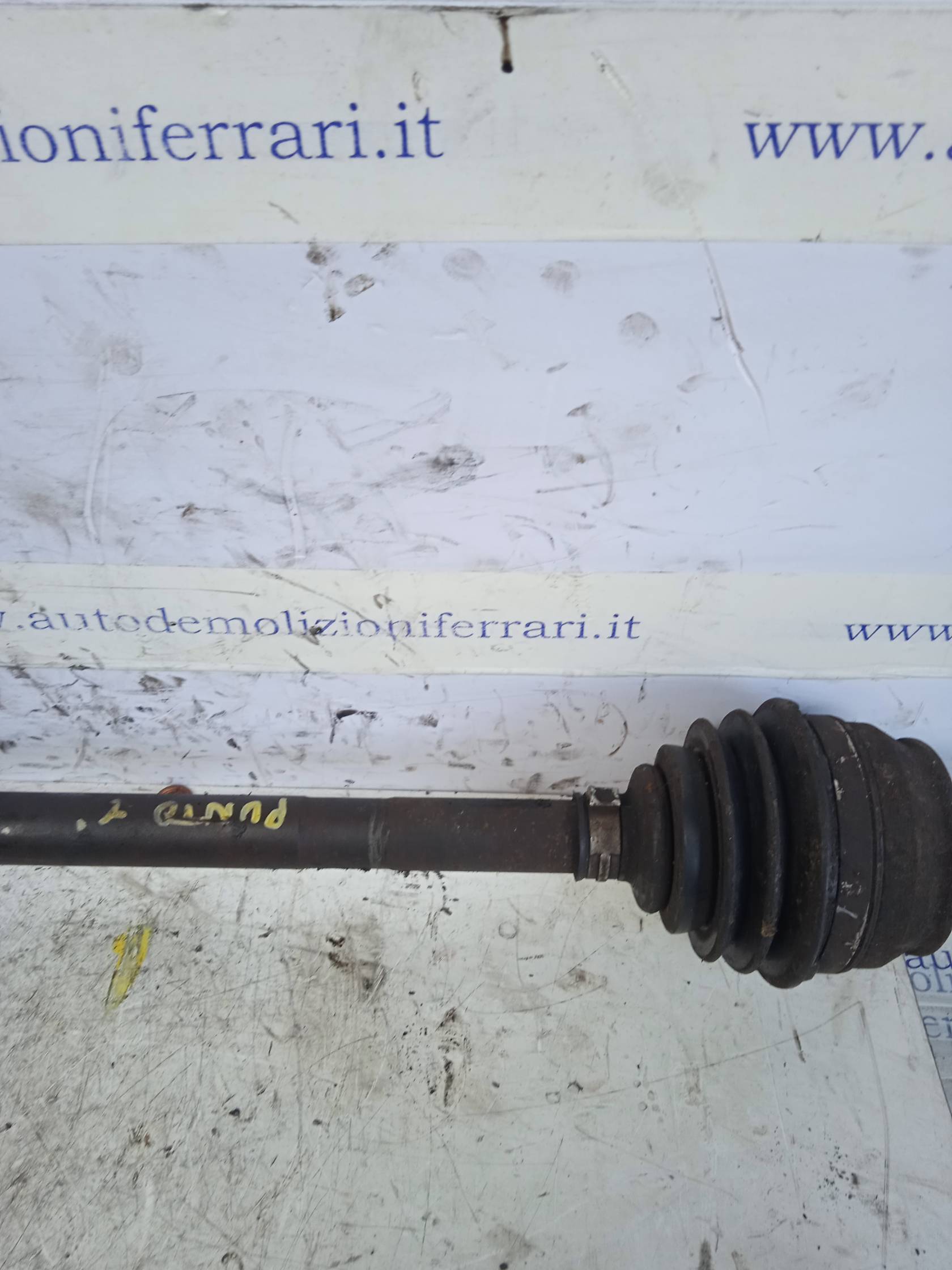 Semialbero ant. compl. dx. Semialbero ant. compl. dx.